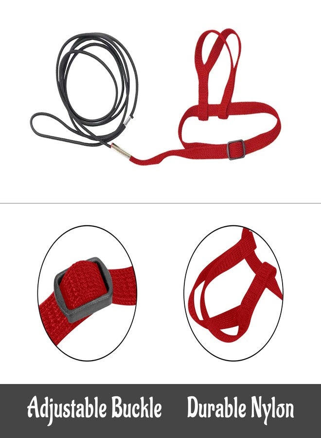 HOKABLE 2 pcs Pet Parrot Bird Harness and Leash, Adjustable Training Design Anti-Bite, Outdoor Flying Training Rope Kit for Bird Parrots Fits Birds Chest Between24-51cm /9.45-20inch - M (red - Image 3
